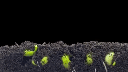 Reaction GIF — quiet satisfaction watching steady growth